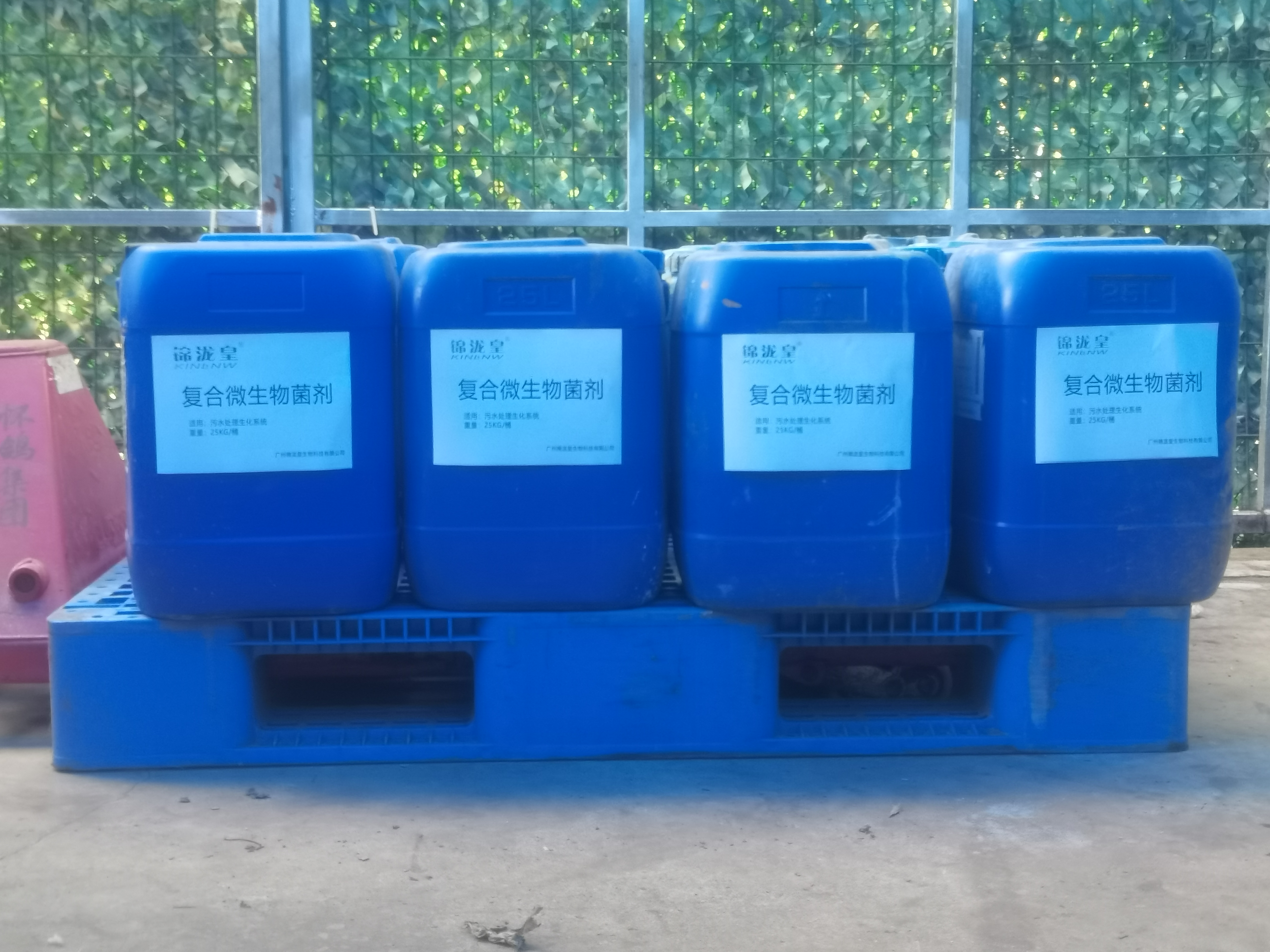 復合微生物菌劑